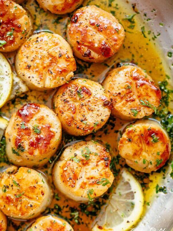 Scallops