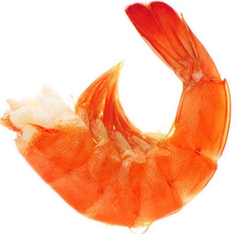Headless Shrimp