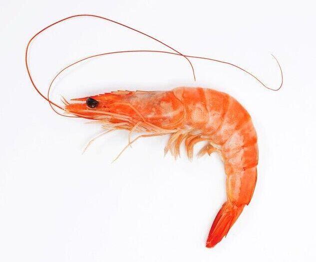 Whole Shrimp