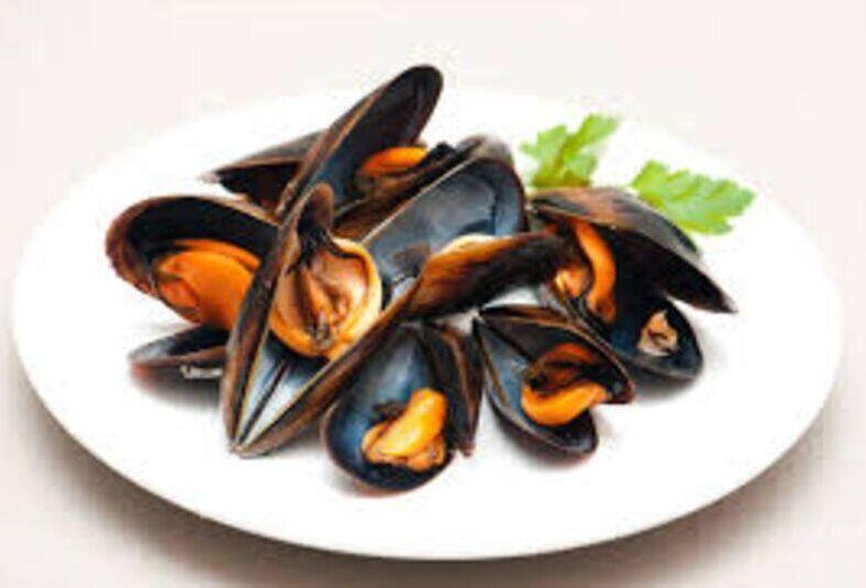 Black Mussel