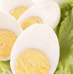 Boiled Eggs (2)